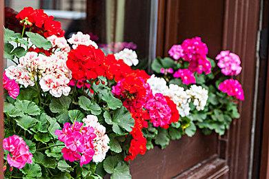 Respawn负责人认为EA《2042》已偏离战地IP太远